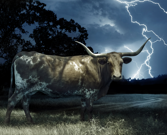 High Voltage Horns