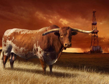 The Interloper